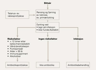Algoritme for antibiotikaprofylakse av bittskader (kilde: www.tidsskriftet.no)