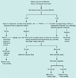 Demensutredning (kilde: Am Fam Physician 2005;71:1745-50)