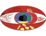 Red eye (copyright: University of Newcastle Upon Tyne, England - Dr Donny Shanahan)